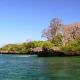 Kenya_Wasini_Island.jpg