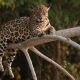 6-day-masai-mara-lake-nakuru-and-amboseli-budget-safari-tour-2-263383_1510029029.JPG