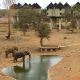 Taita-Hills-Saltlick-Mombasa-Safari.jpg