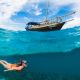 full-day-snorkelling-tour-to-kisite-marine-park-with-wasini-island-in-diani-beach-502561.jpg